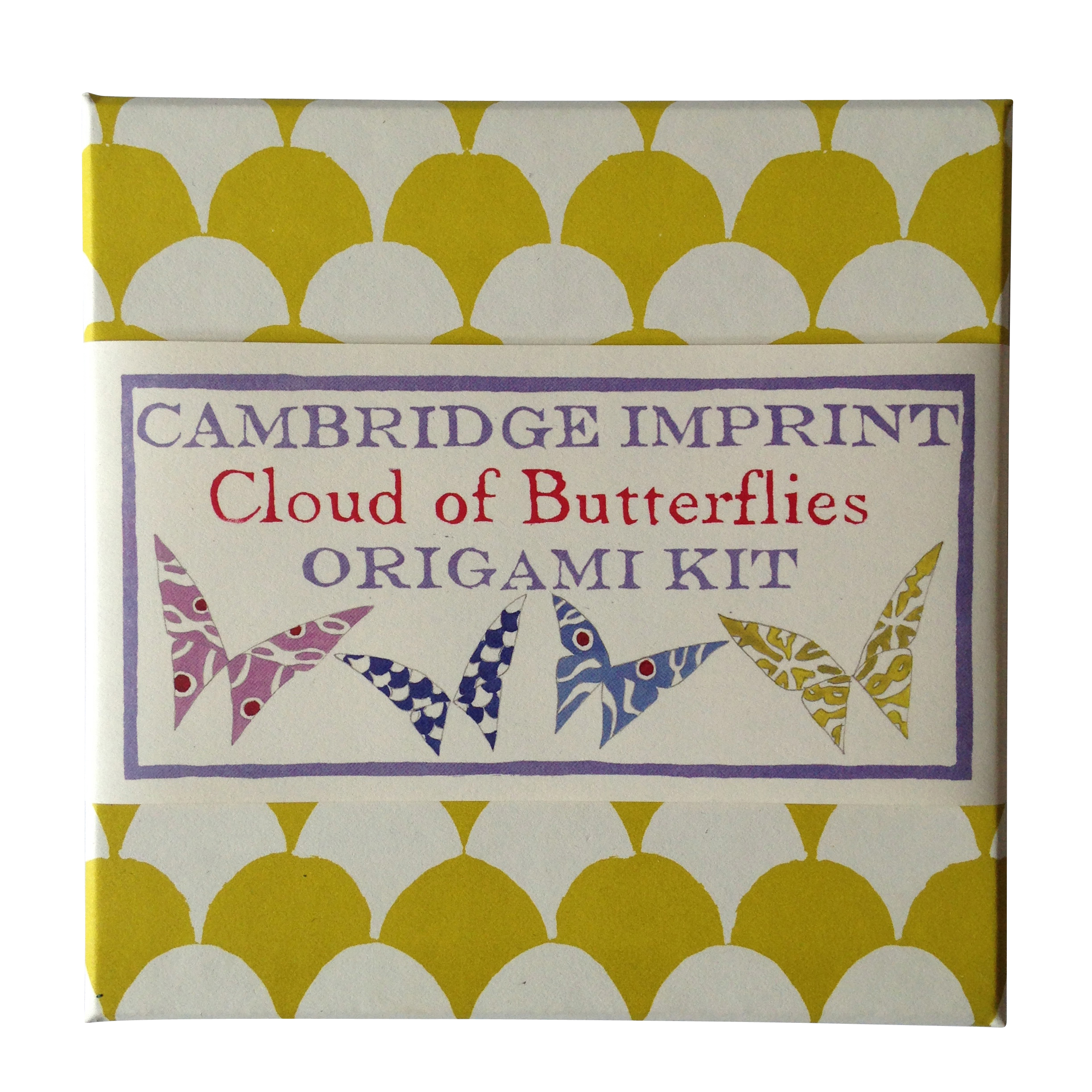 Origami Cloud of Butterflies Kit - Cambridge Imprint