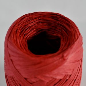 Crimson Paper Ribbon