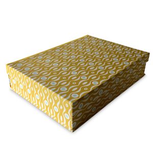 Persephone Mustard and Turquoise Box File by Cambridge Imprint