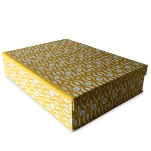 Persephone Mustard and Turquoise Box File by Cambridge Imprint