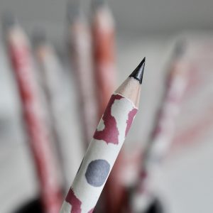 Patterned Paper-covered Sketching Pencil by Cambridge Imprint