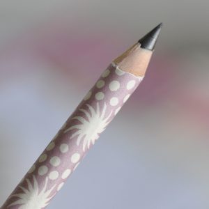 Patterned Paper-covered Sketching Pencil by Cambridge Imprint