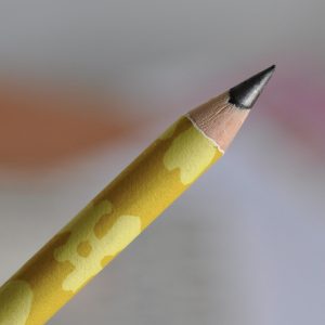 Patterned Paper-covered Sketching Pencil by Cambridge Imprint