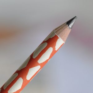 Patterned Paper-covered Sketching Pencil by Cambridge Imprint