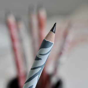 Patterned Paper-covered Sketching Pencil by Cambridge Imprint