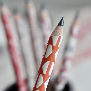 Patterned Paper-covered Sketching Pencil by Cambridge Imprint