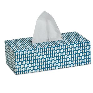 A Tissue Box Cover in Yo-Yo Kingfisher