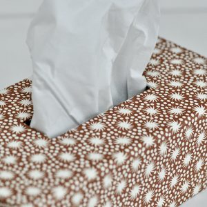 A Tissue Box Cover in Animalcules Cocoa