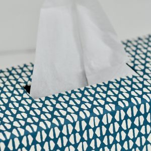 A Tissue Box Cover in Yo-Yo Kingfisher