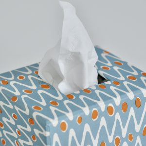 Tissue Box covered in patterned paper by Cambridge Imprint