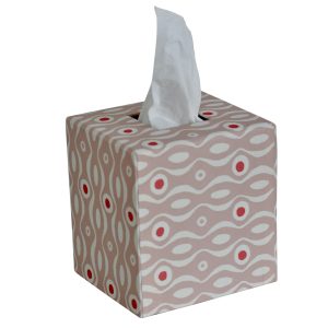 Tissue Box covered in patterned paper by Cambridge Imprint