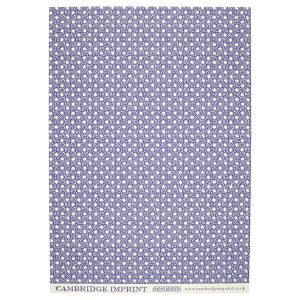 Cambridge Imprint patterned paper