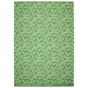 Cambridge Imprint patterned paper