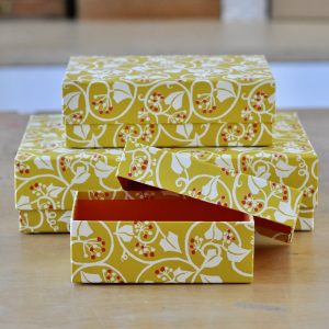 Set of three Ivy Cranberry and Piccalilli patterned boxes