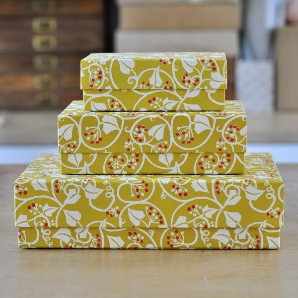 Set of three Ivy Cranberry and Piccalilli patterned boxes