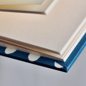 Hardback Notebook detail (Bean Kingfisher pattern)